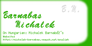 barnabas michalek business card